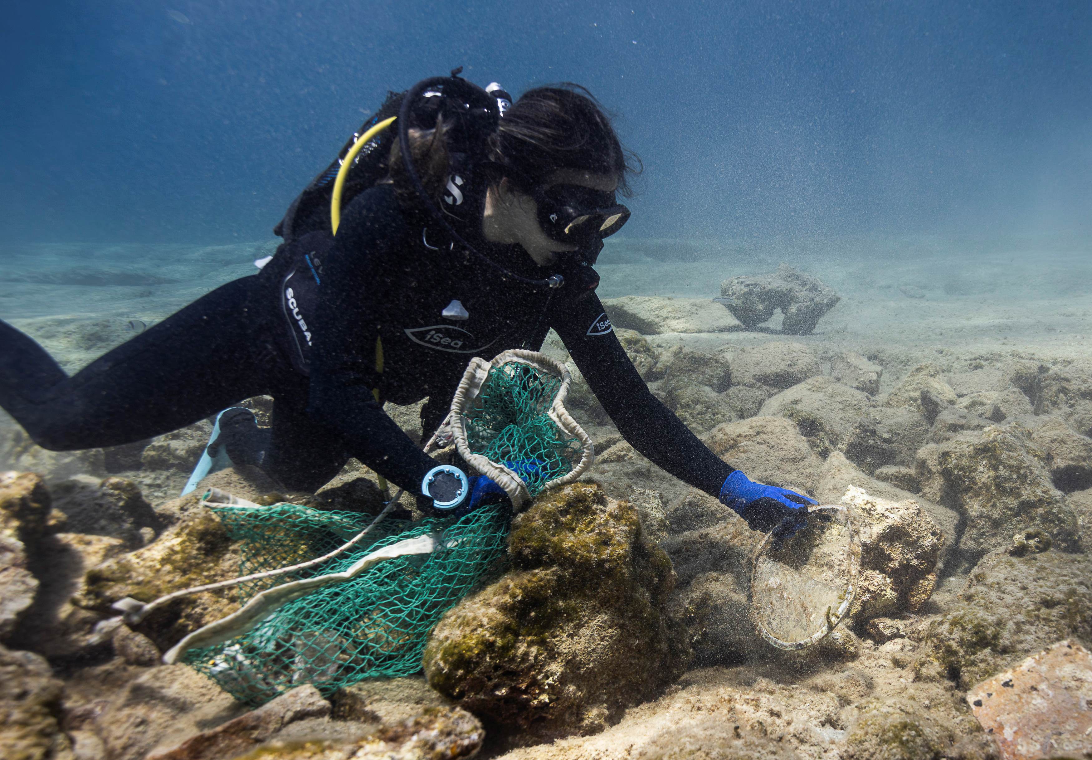 ΔΕΗ και iSea καθαρίζουν τις ακτές σε περιοχές Natura 2000